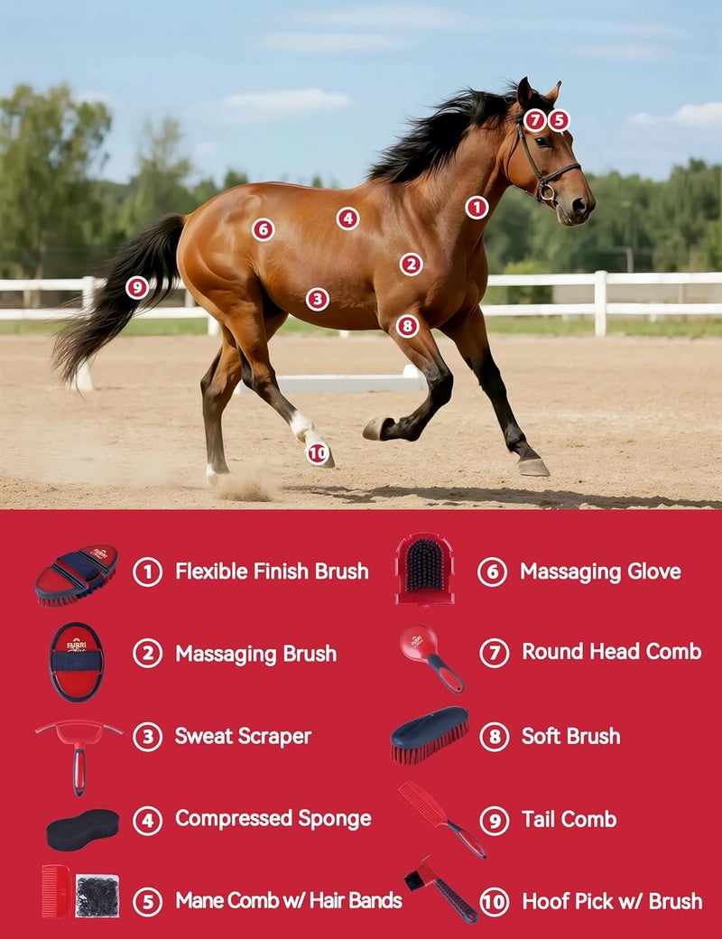 Furrishine 11PCS Horse Grooming Kit Curry Comb Sweat Scraper Horse Bathing Supplies Grooming Tools with Storage Bag Shadowberry - Image 2